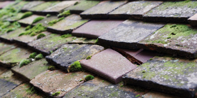 Measham roof repair costs